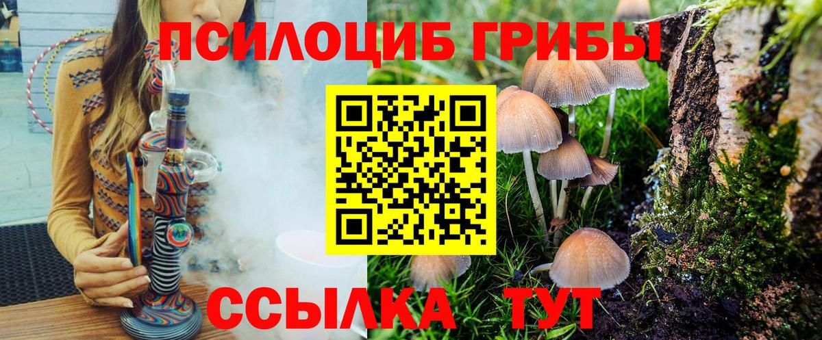Зеленокумск  Псилоцибиновые грибы Magic Shrooms  Галлюциногенные грибы GOLDEN TEACHER  Вход с VPN 